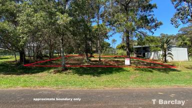 Residential Block For Sale - QLD - Lamb Island - 4184 - Idyllic Block Between Bushland Reserve & Waterfront Park on Quiet No-Through Road  (Image 2)