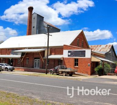 Industrial/Warehouse For Lease - NSW - Inverell - 2360 - Unique Business Opportunity  (Image 2)
