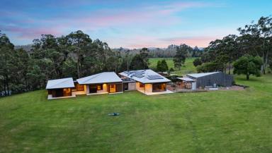 Other (Rural) Sold - NSW - East Seaham - 2324 - Australian Country Living  (Image 2)