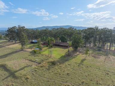 Lifestyle For Sale - NSW - East Gresford - 2311 - As Good As Country Life Gets  (Image 2)