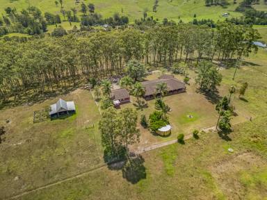 Lifestyle For Sale - NSW - East Gresford - 2311 - As Good As Country Life Gets  (Image 2)