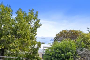 Residential Block For Sale - TAS - White Beach - 7184 - Escape to your perfect weekend camping retreat!  (Image 2)