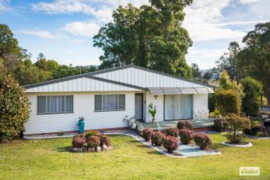 House For Sale - NSW - Bega - 2550 - Classic Bega Charm with Space and Style  (Image 2)