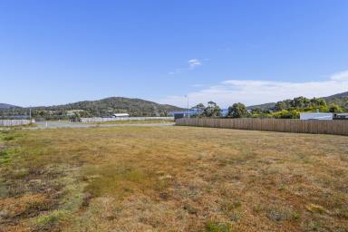 Residential Block For Sale - TAS - Nubeena - 7184 - Prime Block with Bay Views – Your Dream Awaits!  (Image 2)