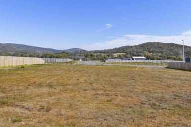 Residential Block For Sale - TAS - Nubeena - 7184 - Prime Block with Bay Views – Your Dream Awaits!  (Image 2)