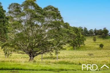 Residential Block For Sale - NSW - Kyogle - 2474 - The Fig Tree Estate Kyogle  (Image 2)