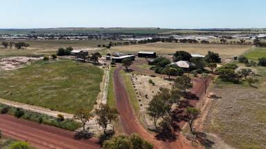 Cropping For Sale - WA - Dangin - 6383 - Rural lifestyle at 1751 OLD BEVERLEY RD, DANGIN 60.28ha (148.89 acres)  (Image 2)