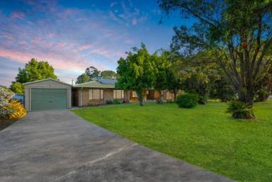 House Sold - QLD - Cooroy - 4563 - Charming Classic Brick Home in Prime Cooroy Location  (Image 2)