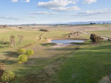 Acreage/Semi-rural Auction - NSW - Murrumbateman - 2582 - We Have Bought Elsewhere, Your Turn to Enjoy 'Potts Hill' | Published Reserve: $1,950,000  (Image 2)