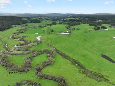 Livestock For Sale - VIC - Forrest - 3236 - FIRST CLASS OTWAY DISTRICT PROPERTY  (Image 2)