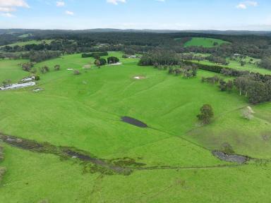 Livestock For Sale - VIC - Forrest - 3236 - FIRST CLASS OTWAY DISTRICT PROPERTY  (Image 2)