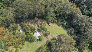 Lifestyle For Sale - NSW - Nimbin - 2480 - Nimbin NSW  (Image 2)