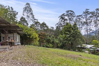 Lifestyle For Sale - NSW - Nimbin - 2480 - Nimbin NSW  (Image 2)