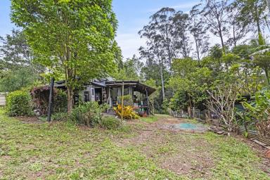 Lifestyle For Sale - NSW - Nimbin - 2480 - Nimbin NSW  (Image 2)