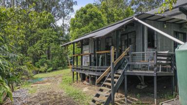 Lifestyle For Sale - NSW - Nimbin - 2480 - Nimbin NSW  (Image 2)