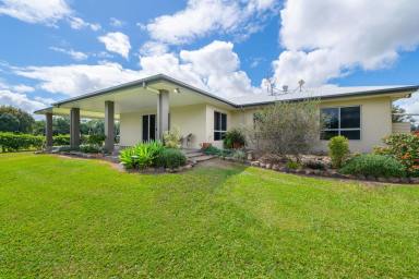 Lifestyle Sold - QLD - Finch Hatton - 4756 - 18 Acre creek front property with large home and sheds  (Image 2)
