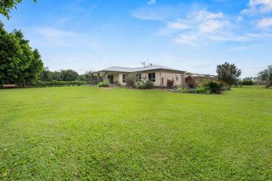 Lifestyle Sold - QLD - Finch Hatton - 4756 - 18 Acre creek front property with large home and sheds  (Image 2)