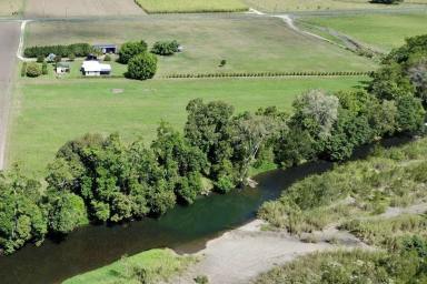 Lifestyle For Sale - QLD - Finch Hatton - 4756 - Beautiful 4-5 Bedroom Home with Large Shed on 18 Acres of Fertile Creekfront Land  (Image 2)