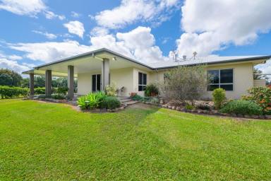 Lifestyle For Sale - QLD - Finch Hatton - 4756 - Beautiful 4-Bedroom Home with Large Shed on 18 Acres of Fertile Creekfront Land  (Image 2)