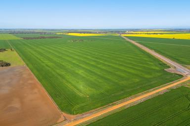 Cropping For Sale - VIC - Sheep Hills - 3392 - Premium Wimmera Cropping Opportunities  (Image 2)