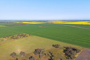 Cropping For Sale - VIC - Sheep Hills - 3392 - Premium Wimmera Cropping Opportunities  (Image 2)