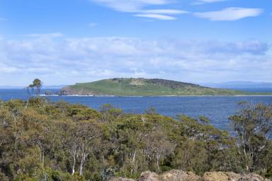 Residential Block For Sale - TAS - White Beach - 7184 - Prime Coastal Acreage with Unparalleled Panoramic Views  (Image 2)