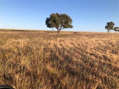 Lifestyle Sold - WA - South Kununoppin - 6489 - South Kununoppin - Property for Sale  (Image 2)