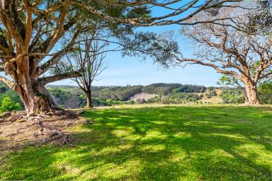 House For Sale - NSW - Eureka - 2480 - Stunning acreage opportunity  (Image 2)