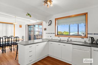 House Sold - TAS - Devonport - 7310 - SPACE FOR THE WHOLE FAMILY  (Image 2)