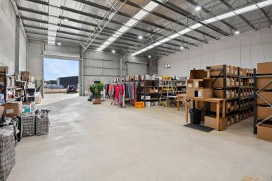 Industrial/Warehouse For Sale - VIC - East Bendigo - 3550 - IMMACULATE OFFICE AND FLEXIBLE WAREHOUSE IN BENDIGO AIRPORT PRECINCT  (Image 2)