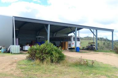 Mixed Farming For Sale - NSW - Woodside - 2372 - A NATURE TRAIL  (Image 2)