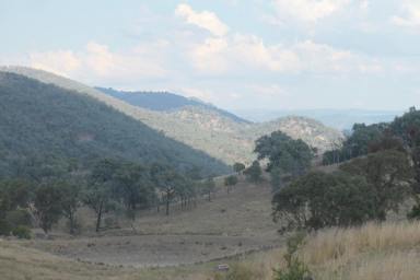 Mixed Farming For Sale - NSW - Woodside - 2372 - LIVING THE DREAM  (Image 2)