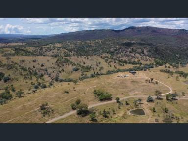 Mixed Farming For Sale - NSW - Woodside - 2372 - LIVING THE DREAM  (Image 2)