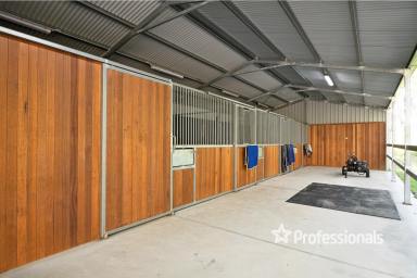 House For Sale - VIC - Woori Yallock - 3139 - HORSE LOVERS DREAM...5.5 ACRES APPROX  (Image 2)