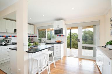 House For Sale - VIC - Woori Yallock - 3139 - HORSE LOVERS DREAM...5.5 ACRES APPROX  (Image 2)