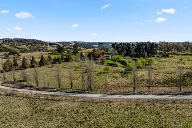 Lifestyle Sold - NSW - Chatsbury - 2580 - 'Ferintosh Park' | Magical Rural Sanctuary unites rich heritage and modern style  (Image 2)