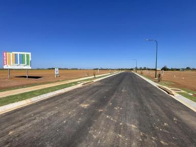 Residential Block For Sale - QLD - Ashfield - 4670 - IDEAL PLACE TO BUILD YOUR NEW HOME  (Image 2)