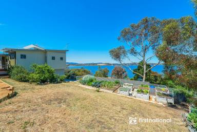 Residential Block For Sale - TAS - Penna - 7171 - Lifestyle living at its best  (Image 2)