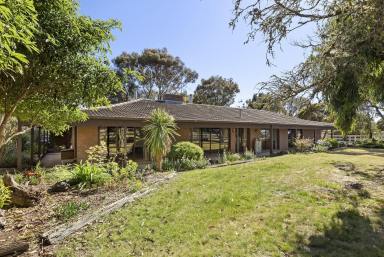 Lifestyle For Sale - VIC - Mount Moriac - 3240 - Well Appointed Equine Lifestyle Property  (Image 2)