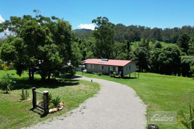 House For Sale - QLD - Pie Creek - 4570 - RENOVATED HOME WITH CAPTIVATING CREEK FRONTAGE  (Image 2)