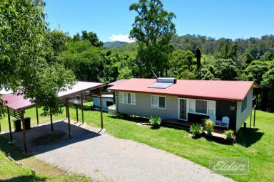 House For Sale - QLD - Pie Creek - 4570 - RENOVATED HOME WITH CAPTIVATING CREEK FRONTAGE  (Image 2)