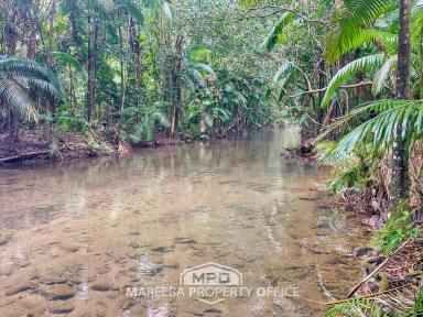 Lifestyle For Sale - QLD - Julatten - 4871 - UNTOUCHED JULATTEN RAINFOREST  (Image 2)