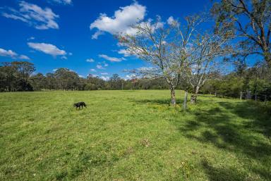 Acreage/Semi-rural For Sale - NSW - Clarence Town - 2321 - Looking for the family farm?  (Image 2)