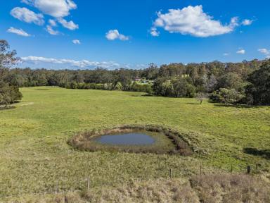 Acreage/Semi-rural For Sale - NSW - Clarence Town - 2321 - Looking for the family farm?  (Image 2)