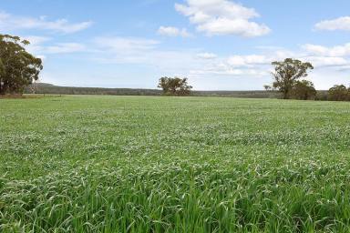 Livestock For Sale - VIC - Dereel - 3352 - DELIGHTFUL PRODUCTIVE BALLARAT DISTRICT COUNTRY  (Image 2)