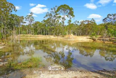 Livestock For Sale - QLD - Biboohra - 4880 - LARGE SCALE FREEHOLD GRAZING LAND  (Image 2)