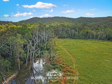 Livestock For Sale - QLD - Biboohra - 4880 - LARGE SCALE FREEHOLD GRAZING LAND  (Image 2)