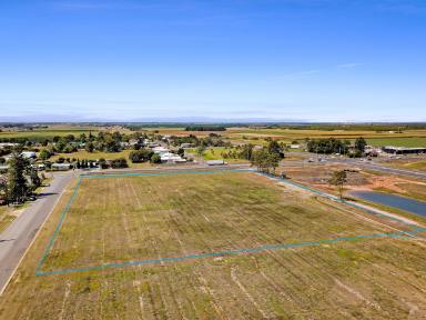 Land/Development For Sale - QLD - Thabeban - 4670 - Prime 1.96ha Industrial Allotment – Unmatched Opportunity in Bundaberg  (Image 2)