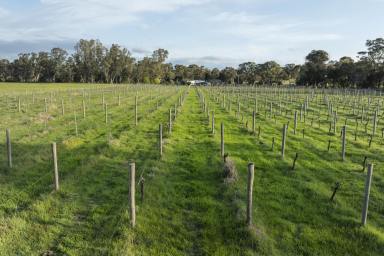 Acreage/Semi-rural For Sale - VIC - Locksley - 3665 - Unique 1870s Residence with Vineyard and Grazing Land in the Strathbogie Ranges  (Image 2)