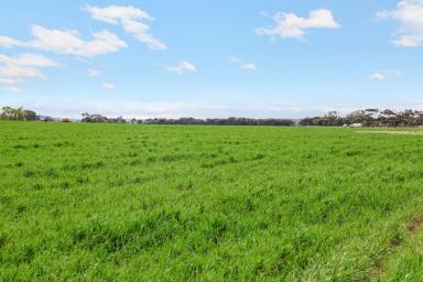 Cropping For Sale - VIC - Shelford - 3329 - ATTRACTIVE QUALITY SHELFORD DISTRICT PROPERTY  (Image 2)